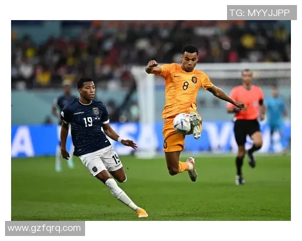 厄瓜多尔对阵韩国足球赛前瞻与胜负预测分析