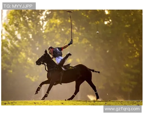 博格丹博格达诺维奇的篮球之路与职业生涯的精彩瞬间